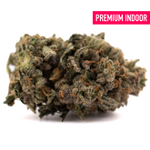 Purple Lemon Cake THCa Flower with dense trichomes, orange hairs, and purple-green hues